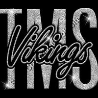 GLT95 SILVER GLITTER Thumbnail